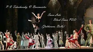 Swan Lake   Black Pas de Deux (Zakharova, Bolle)