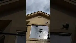 For the love of WFP!! 🔥#satisfying #windowcleaning