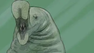 Makaracetus | Ballena de Dos Dientes | PaleoPedias 🇵🇰