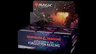 Adventures in the Forgotten Realms - Gift Bundle