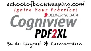 Cogniview - PDF2XL - Lesson 2 - Basic Layout & Conversion