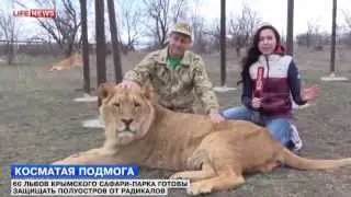 Боевые львы - защитники Крыма