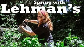 Spring at Lehman's