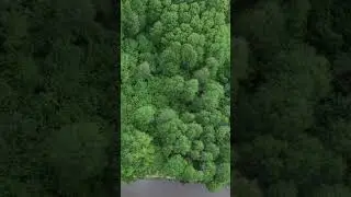 6 травня 2024 р.