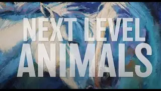 Next Level Animals - A New Online Course with Marla Baggetta