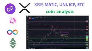 Анализ монет XRP MATIC UNI ICP ETC