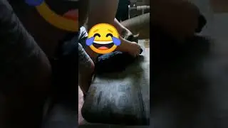 переноска для кошек