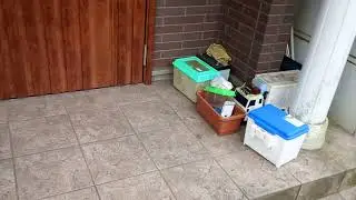 Свобода