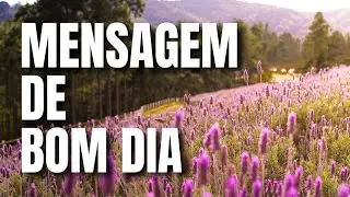 MENSAGEM DE BOM DIA