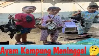 Eksekusi Ayam Kampung di Bantan air !!! dibalik layar video masak #dapurneknan dikebun sawit.
