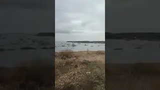 с. Нагорское тобол разлился по полям 