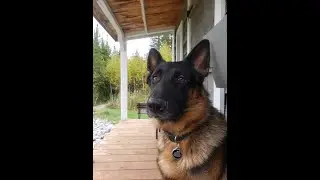 Gunnar Oct 9 2021