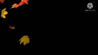 Black screen leaves falling templet