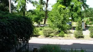 Ледовая арена
