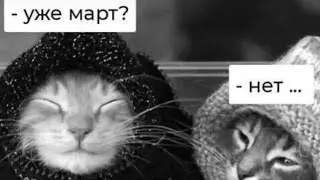 Мыши в доме / грипп у Захара / рециркулятор / стрептатест
