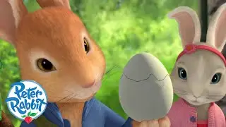 ‪@OfficialPeterRabbit‬