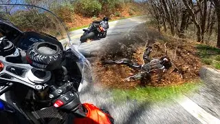 Fast GSXR Lowside Into Ditch ⚠️