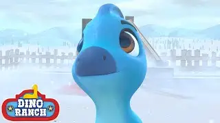 Helping Luna! | Dino Ranch