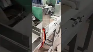Двухшнековый депозитор в составе мини линии для производства батончиков