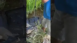 Ёмоё❗️Ну кто так ловит ❗️