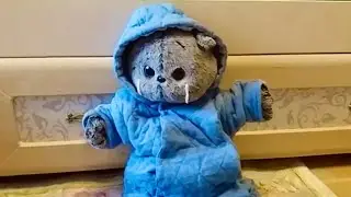 Басики одеваются в теплые одежды