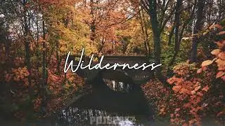 Wilderness - Emotional Afrobeat Type Beat