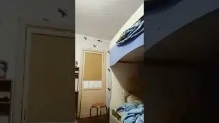 сумашецый