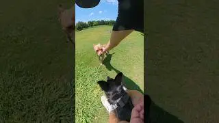 What would you do in this situation?
