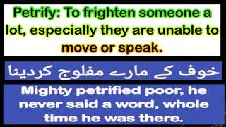 Petrify || English Words