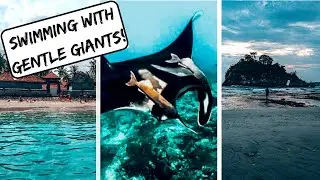 Nusa Penida | Crystal Beach & Snorkel (Day 3)