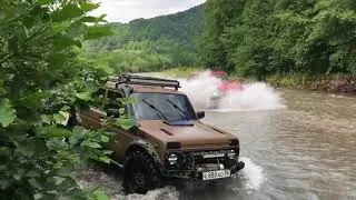 Нивы против Ассы