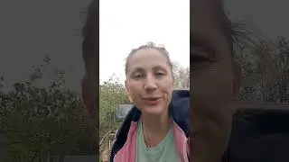 с клубникой пока закончила и малина#дача #клубника
