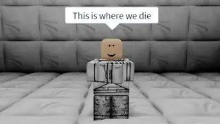 The Roblox Asylum