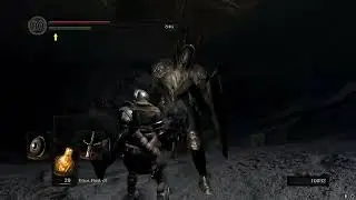 illegal parry - Dark Souls