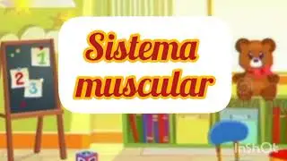Sistema Muscular para niños