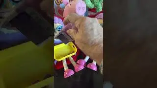 🌈Filling grannys🧓🏻 tray  tictac#shortvideo#granny #viral #shortsyoutube