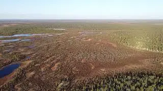 Остров среди болот 8