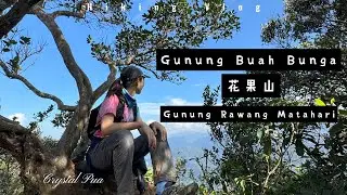 Gunung Buah Bunga, GBB + Gunung Rawang Matahari