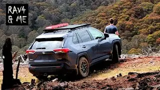 RAV4 Off-Road: Mud, Dirt & Pine Forests #rav4hybrid #ASMR