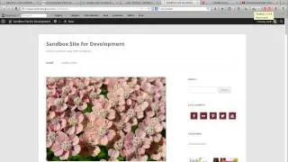 How to: Standard Method of Importing Google Fonts to WordPress