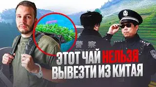 У НАС ЗАБРАЛИ ЭТОТ ЧАЙ НА ГРАНИЦЕ