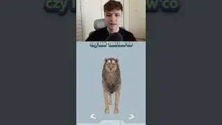 AMAZING ANIMALS in SIMS 4
