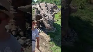 15 июля в Янтарном рядом со Смотровой площадкой комбината состоялось открытие Динопарка.