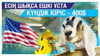 Есің шықса ешкі ұста. Күндік кіріс - 400$
