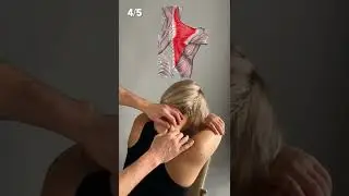 5 Neck Massage Moves. Massage course at makarin.info