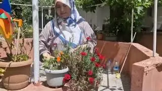 Yengemin bahçesinde çiçekli bir gün vlog / bahçe bakımı
