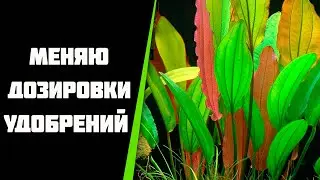 Меняю дозировки аквариумного удобрения.