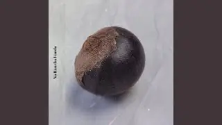 La Semilla