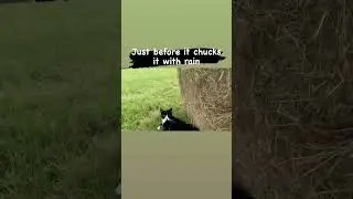 New videos coming soon