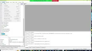 Understanding the raw Tally development language extract